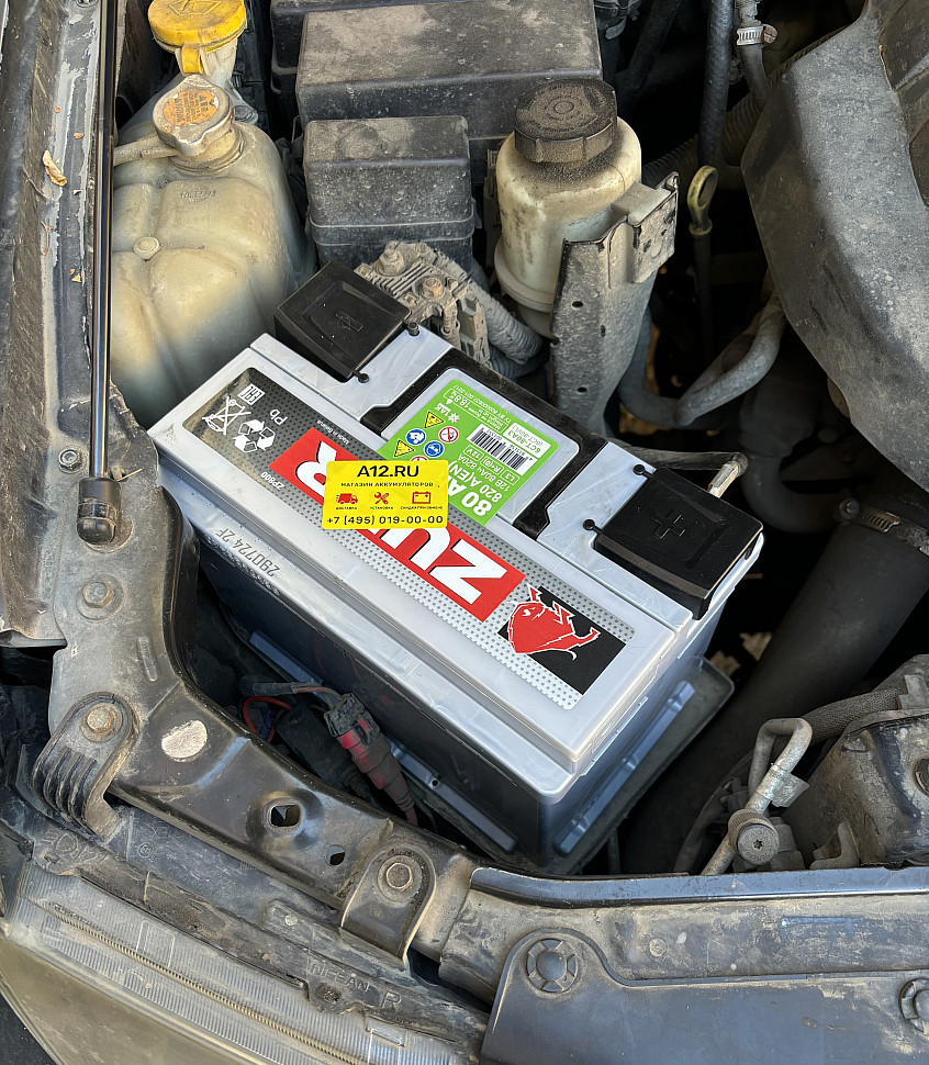 Аккумулятор ZUBR PREIUM 80 Ач для Nissan Pathfinder 2.5 дизель Аккумулятор ZUBR PREIUM 80 Ач для Nissan Pathfinder 2.5 дизель