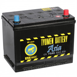 Аккумулятор Tyumen Battery Asia 75 Ач обр. пол. 630A (266x173x225)